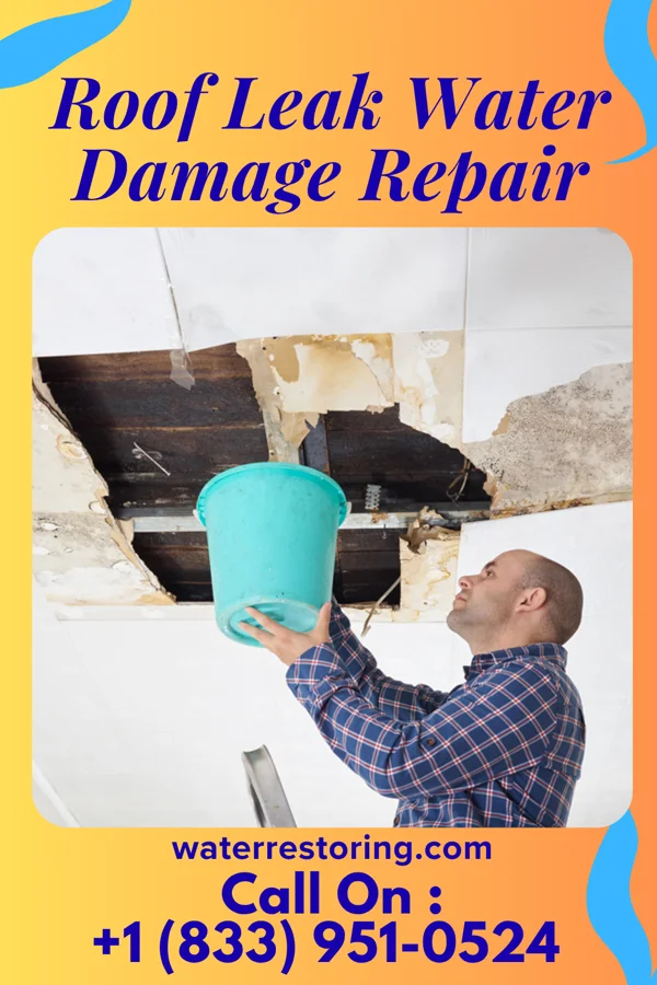 Roof Leak Water Damage Repair in Tiltonsville, OH