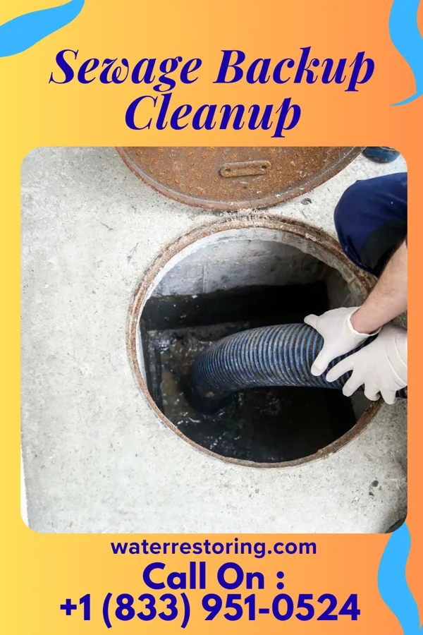Sewage Backup Cleanup in Tiltonsville, OH