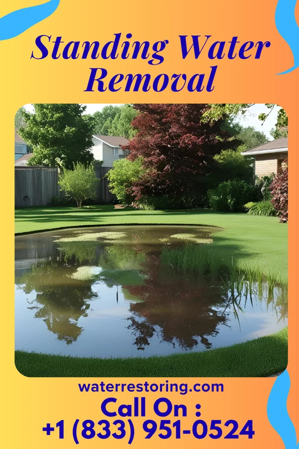 Standing Water Removal in Tiltonsville, OH